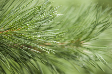 Similar image 20983755