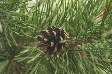 Similar image 20983756