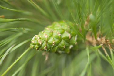 Similar image 20983757