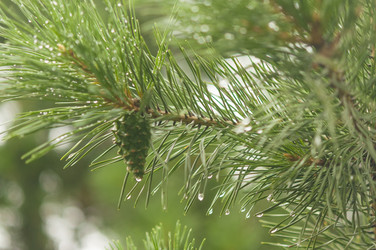 Similar image 20983758