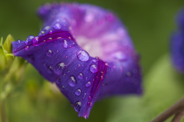 Similar image 20983759