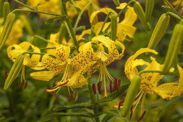 Similar image 20983760