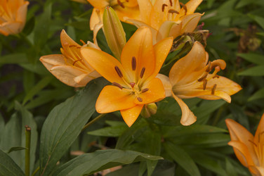 Similar image 20983762