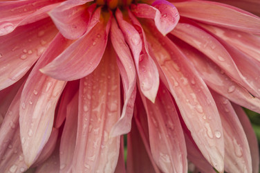 Similar image 20983765