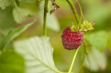 Similar image 20983768