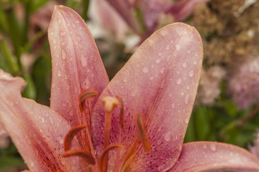 Similar image 20983881