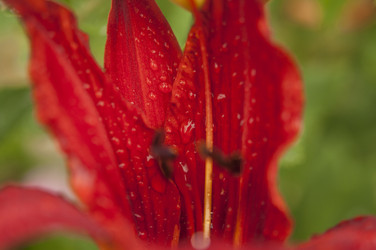 Similar image 20983882