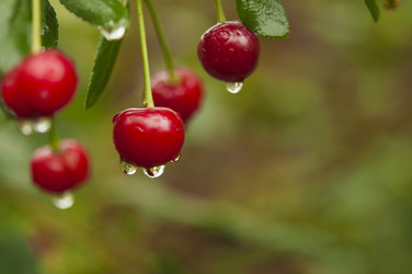 Similar image 20983885