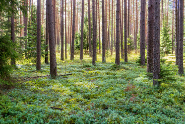 Similar image 20986704