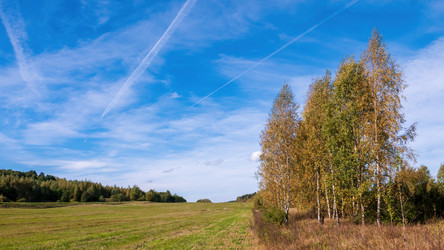 Similar image 20986706