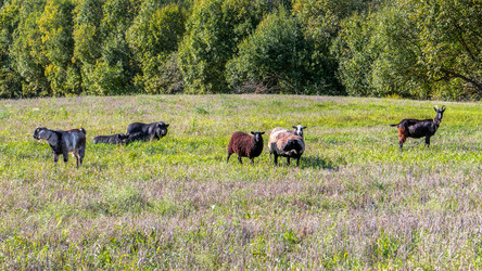 Similar image 20986707