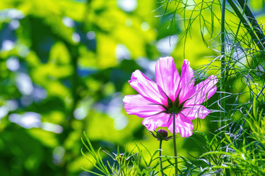 Similar image 20986715