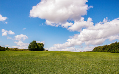 Similar image 20986721