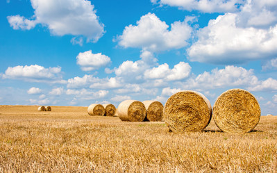 Similar image 20986725