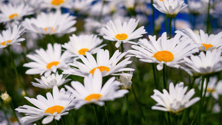 Similar image 21003145