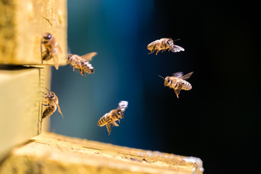 Similar image 20987029