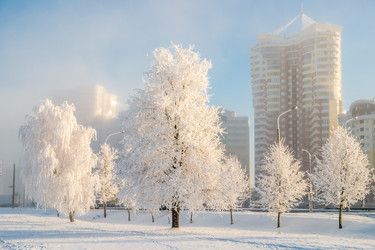 Similar image 21003147