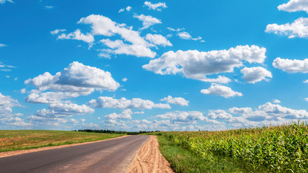 Similar image 21003149