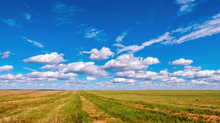 Similar image 21003150