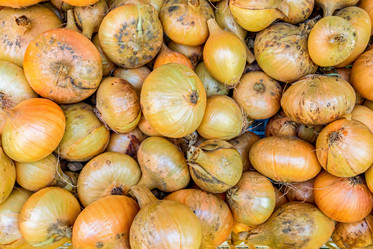 Similar image 20986732