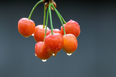 Similar image 20986733