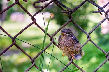 Similar image 20986859