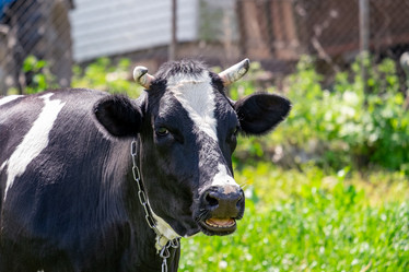 Similar image 20986863