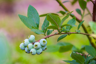 Similar image 20998846