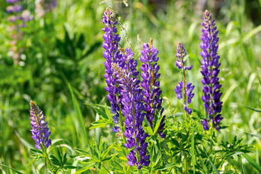 Similar image 20986874