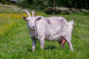 Similar image 20986877