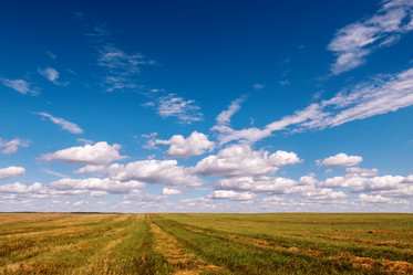 Similar image 20986886