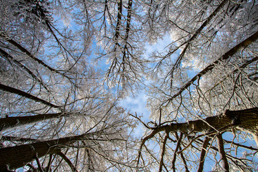 Similar image 21003154