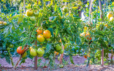 Similar image 21003155