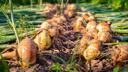 Similar image 21003157