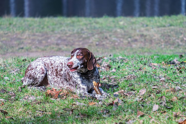 Similar image 21003164