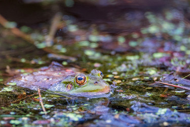 Similar image 20986745