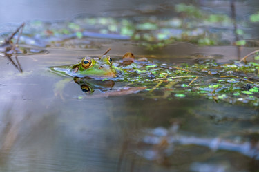 Similar image 21003165