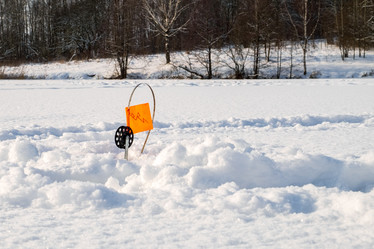 Similar image 21003167