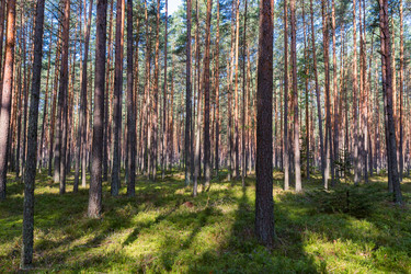 Similar image 20986751