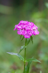 Similar image 20998849