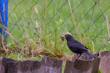 Similar image 20986753