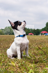 Similar image 20986903