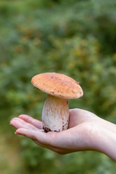 Similar image 20986904