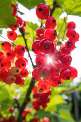 Similar image 20986910