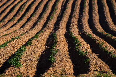 Similar image 20989291