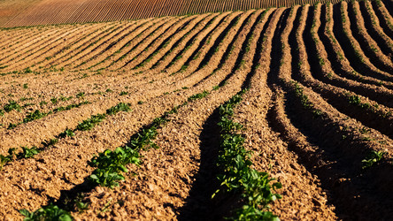 Similar image 20986911