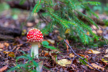 Similar image 20986914