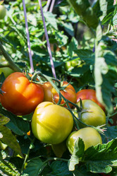 Similar image 20998865