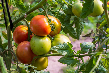 Similar image 20986925