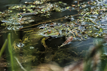 Similar image 21003174